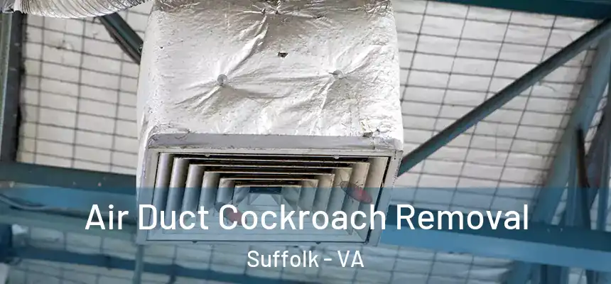  Air Duct Cockroach Removal Suffolk - VA