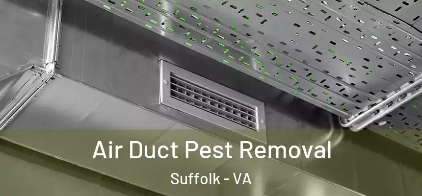  Air Duct Pest Removal Suffolk - VA
