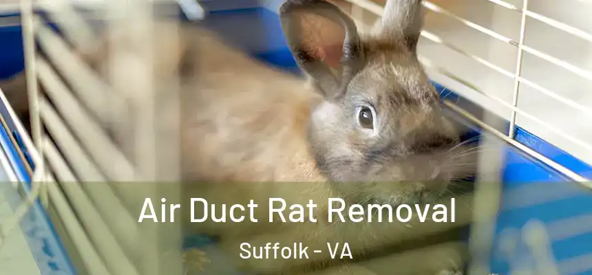  Air Duct Rat Removal Suffolk - VA