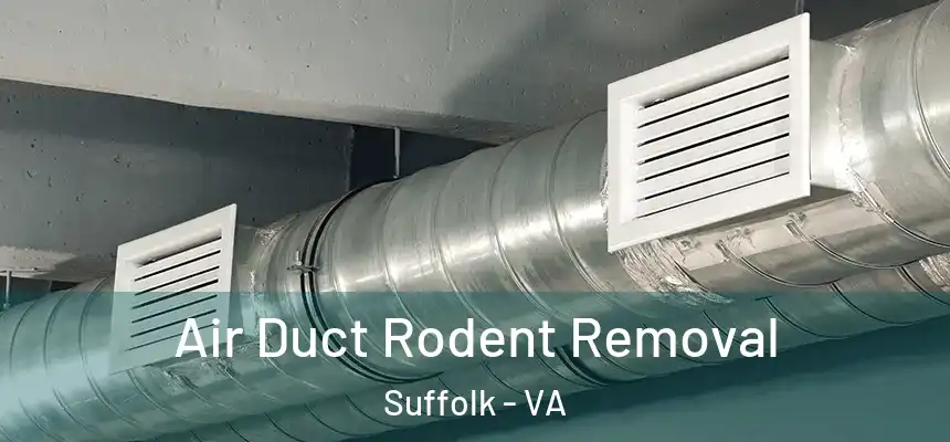  Air Duct Rodent Removal Suffolk - VA