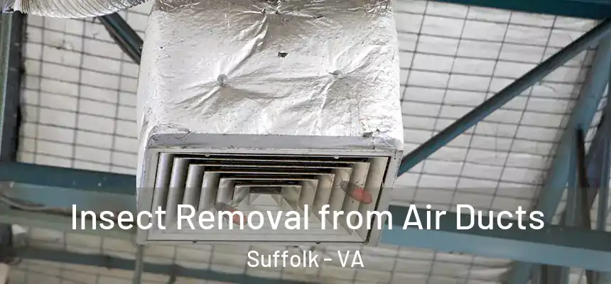  Insect Removal from Air Ducts Suffolk - VA