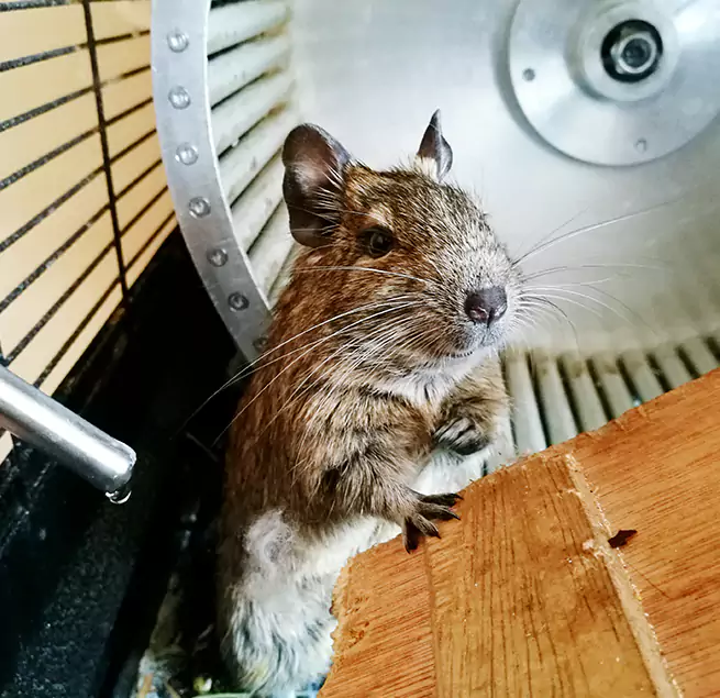 Why Homeowners & Businesses Trust Us Suffolk, VA