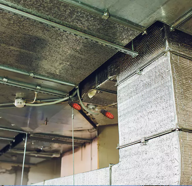 Why Homeowners & Businesses Trust Us Suffolk, VA?