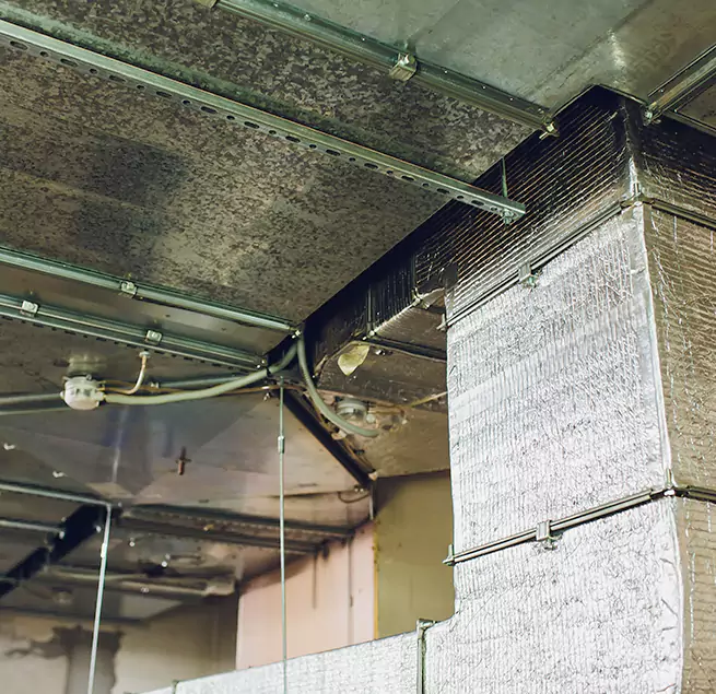 Why Homeowners & Businesses Trust Us in Suffolk, VA?